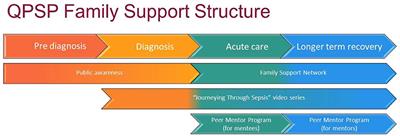 Designing Support Structures Post Sepsis in Children: Perspectives of the Queensland Paediatric Sepsis Program